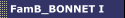 FamB_BONNET_1